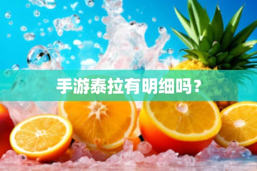 手游泰拉有明细吗？