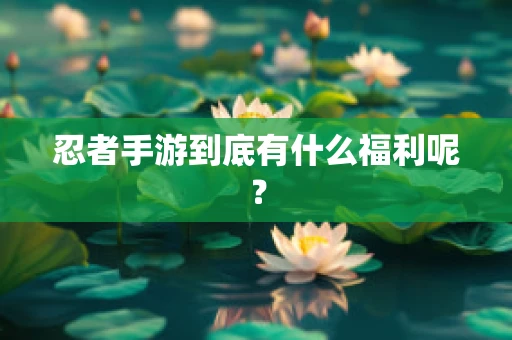 忍者手游到底有什么福利呢？