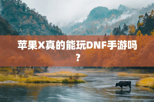 苹果X真的能玩DNF手游吗？